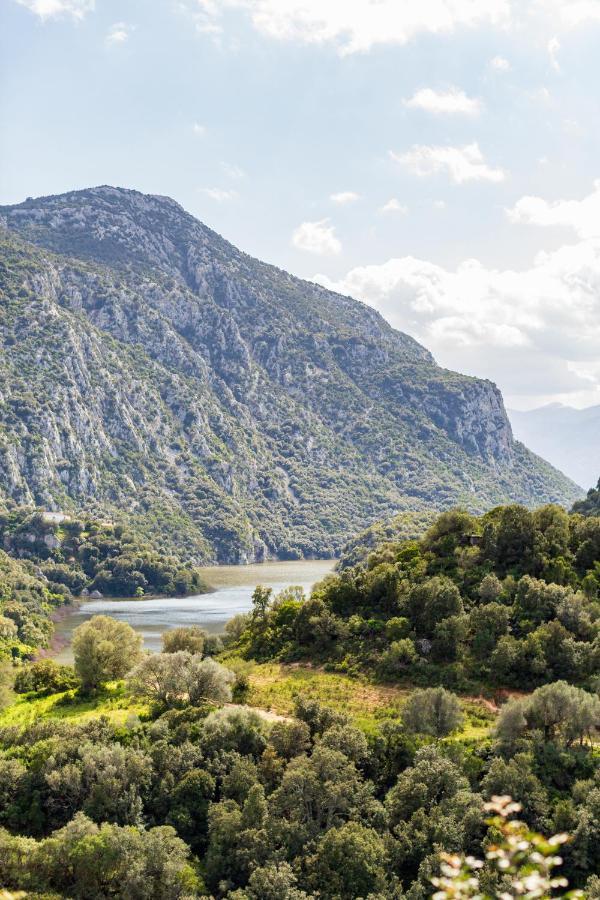 Canales * Dorgali