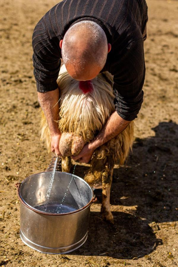 Séjour à la ferme Canales *